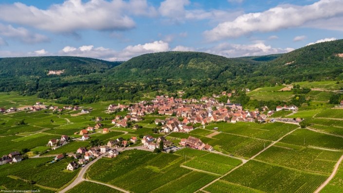 Gueberschwihr - Drone Supervision DJI_0069