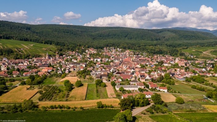 Bollenberg - Drone Supervision DJI_0158