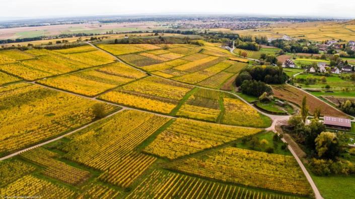 Orschwihr – Drone Supervision – DJI_0080 Orschwihr - Drone Supervision - DJI_0080