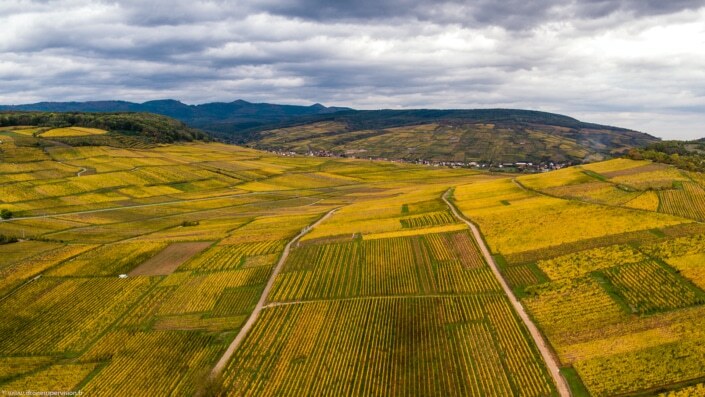 Orschwihr – Drone Supervision – DJI_0102 Orschwihr - Drone Supervision - DJI_0102