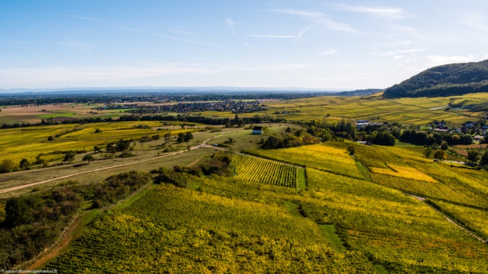Orschwihr – Drone Supervision – DJI_0956 Orschwihr - Drone Supervision - DJI_0956