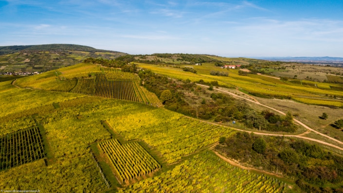 Orschwihr – Drone Supervision – DJI_0970 Orschwihr - Drone Supervision - DJI_0970