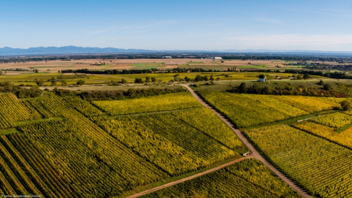 Orschwihr – Drone Supervision – DJI_0972 Orschwihr - Drone Supervision - DJI_0972