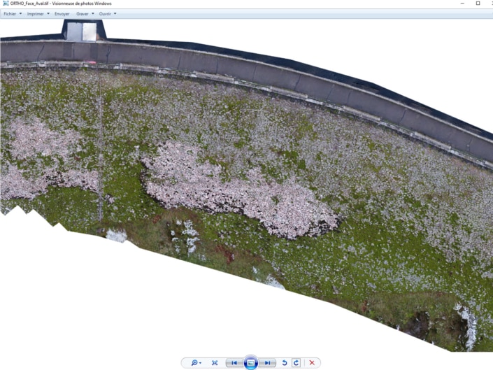 Ortho_aval2 Ortho_aval2