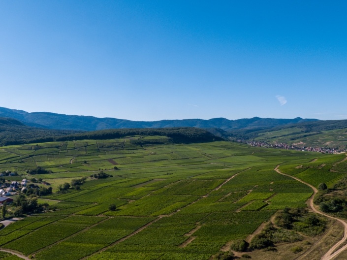 DJI_0922-12 DJI_0922-12