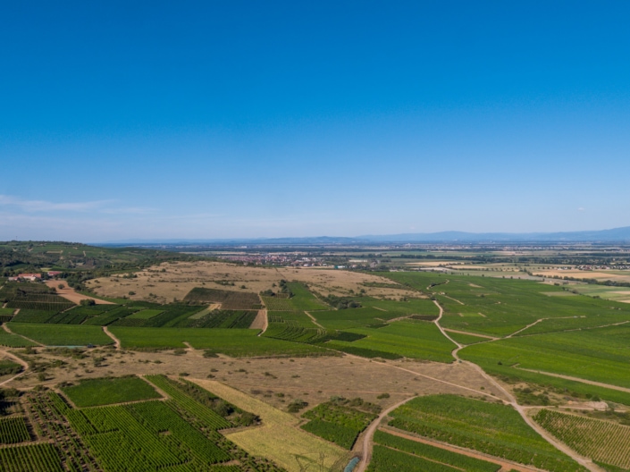 DJI_0925-9 DJI_0925-9