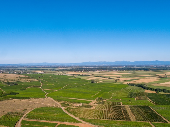 DJI_0926-8 DJI_0926-8