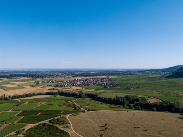 DJI_0929-5 DJI_0929-5