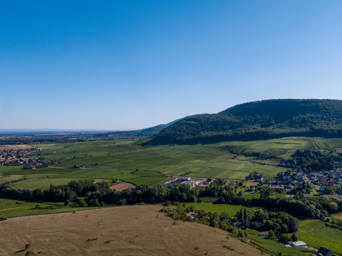 DJI_0930-4 DJI_0930-4