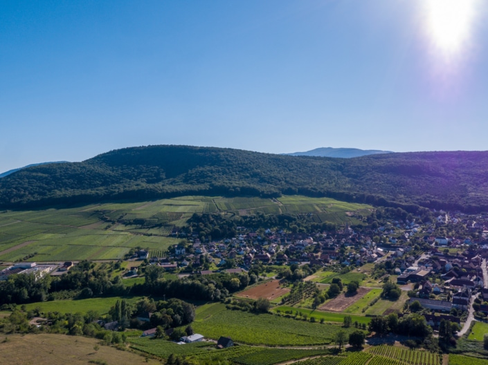 DJI_0931-3 DJI_0931-3