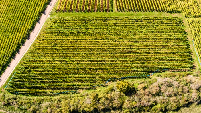 Bollenberg – Drone Supervision DJI_0962 Bollenberg - Drone Supervision DJI_0962