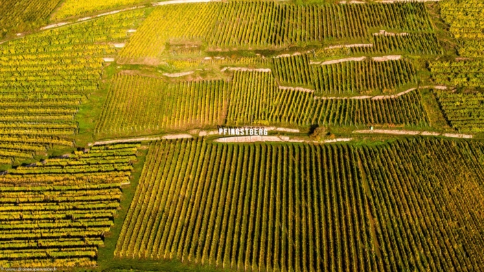 Drone Supervision DJI_0037-7 Drone Supervision DJI_0037-7