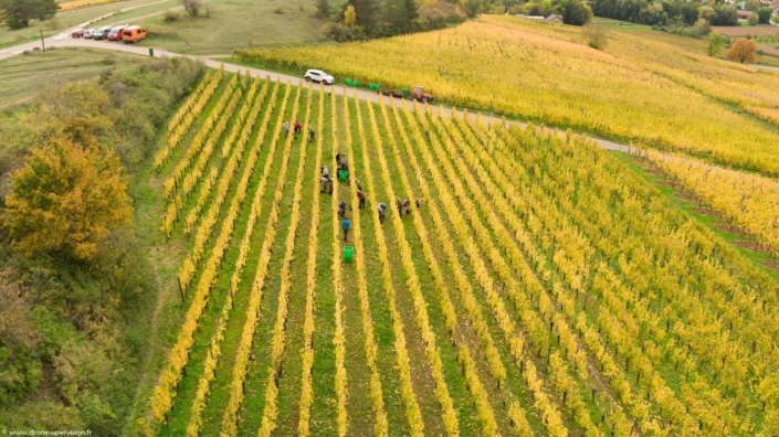 Drone Supervision DJI_0090-7 Drone Supervision DJI_0090-7