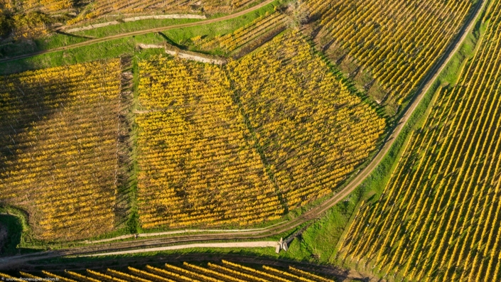 Drone Supervision DJI_0357-1 Drone Supervision DJI_0357-1