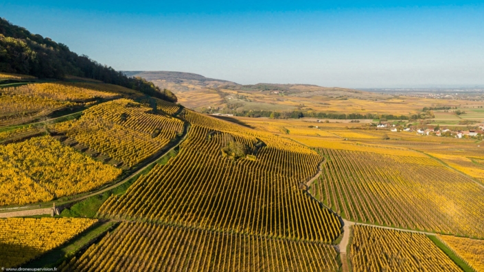 Drone Supervision DJI_0372-2 Drone Supervision DJI_0372-2