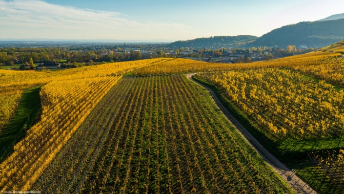 Drone Supervision DJI_0379-3 Drone Supervision DJI_0379-3