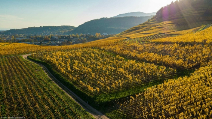 Drone Supervision DJI_0380-4 Drone Supervision DJI_0380-4