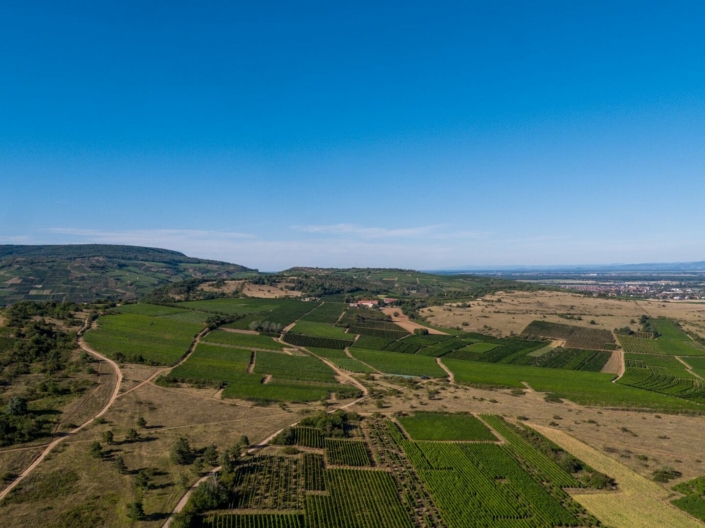 DJI_0924-10 DJI_0924-10