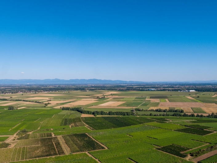 DJI_0927-7 DJI_0927-7