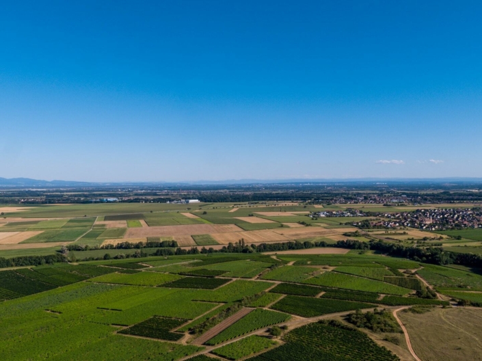 DJI_0928-6 DJI_0928-6