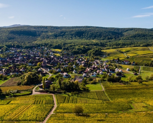 Drone Supervision DJI_0958-1