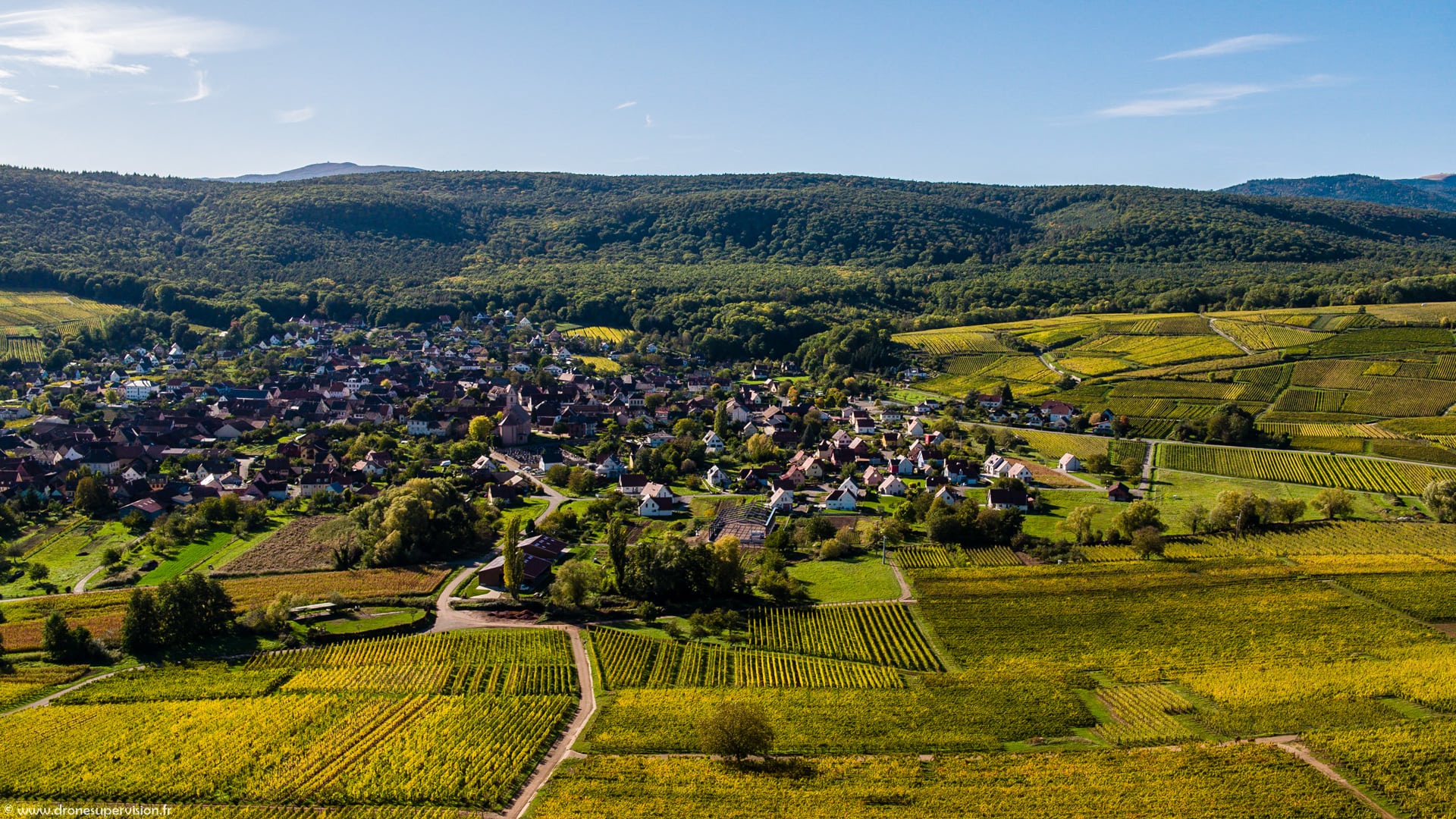 Drone Supervision DJI_0958-1 Drone Supervision DJI_0958-1