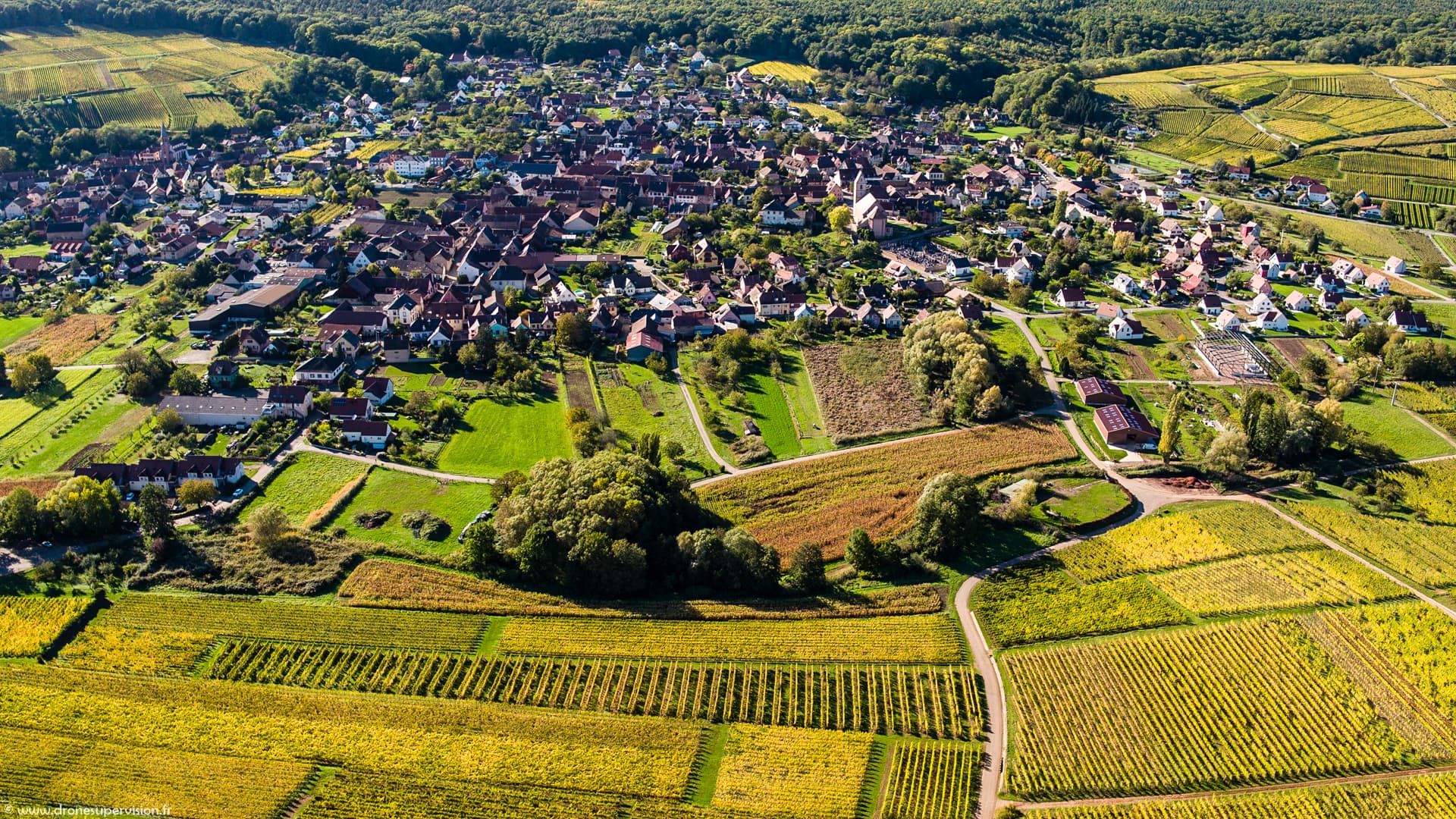 Drone Supervision DJI_0964-2 Drone Supervision DJI_0964-2