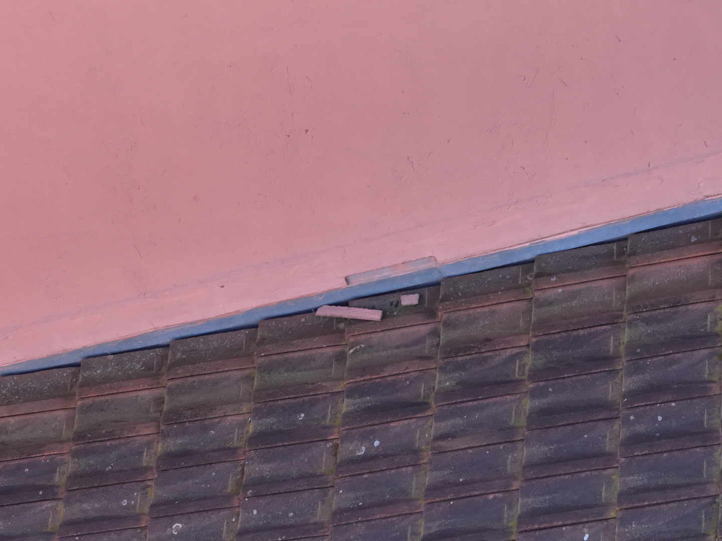 Drone-Supervision-DJI_0822-3 Drone-Supervision-DJI_0822-3