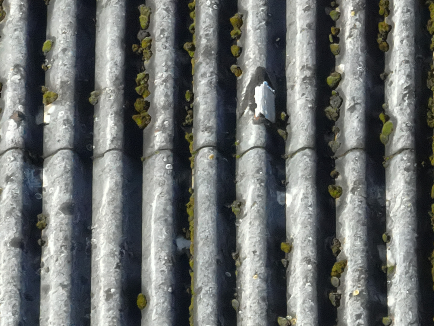 Drone-Supervision-DJI_0831-10 Drone-Supervision-DJI_0831-10