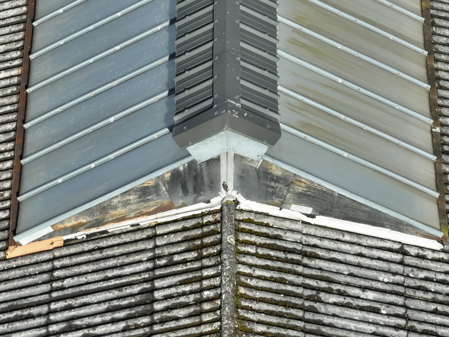 Drone-Supervision-DJI_0850-18 Drone-Supervision-DJI_0850-18