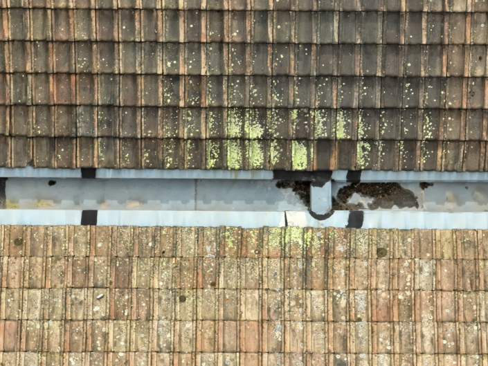 Drone-Supervision-DJI_0879-8 Drone-Supervision-DJI_0879-8