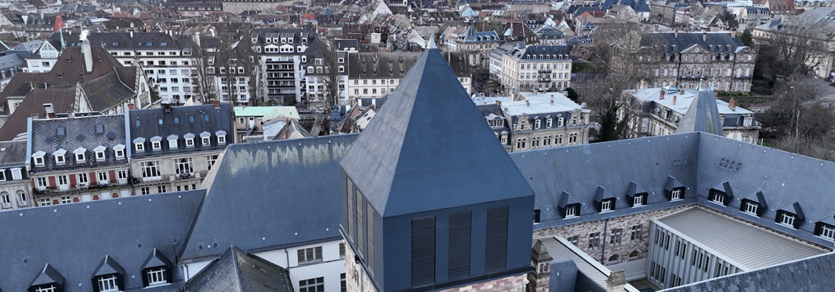 Drone Supervision DJI_0206