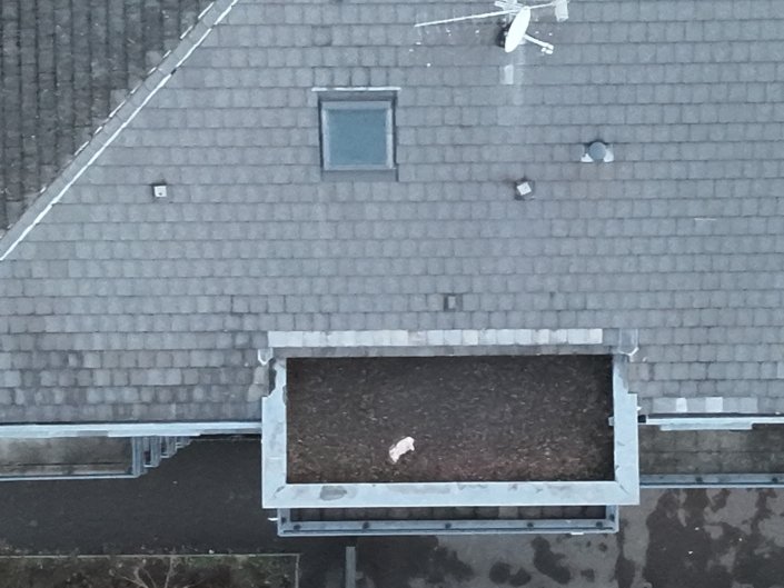 DJI_0082_V DJI_0082_V